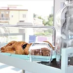 Bed & Breakfast Terrazza Zalamella